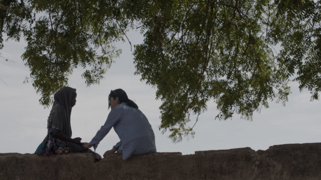 Two people sitting on a wall under a tree