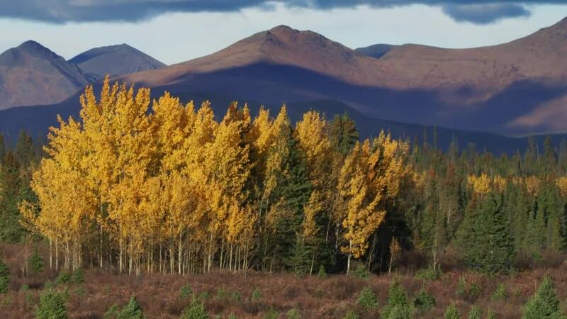 borealis_earthday